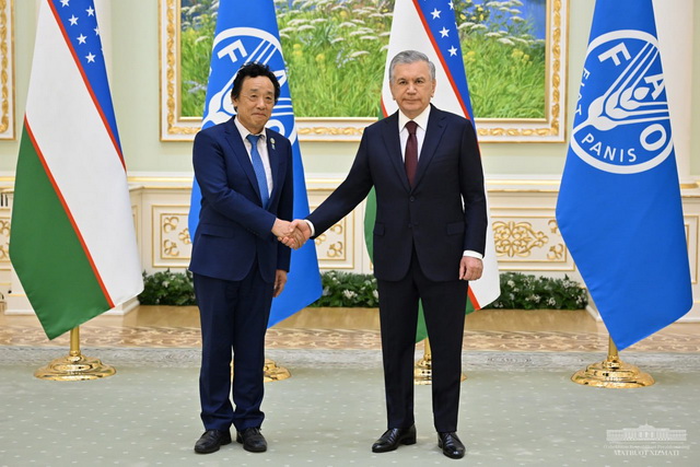 President of Uzbekistan emphasizes the importance of adopting a long-term strategic partnership program with FAO