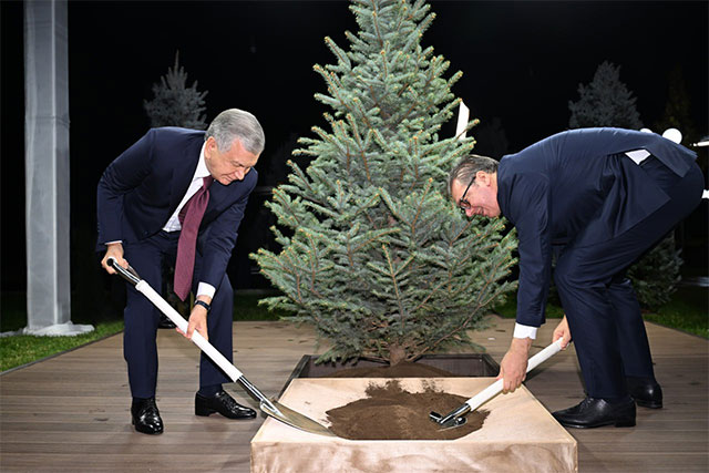 Президенты Узбекистана и Сербии вместе посадили дерево Президенты Узбекистана и Сербии вместе посадили дерево