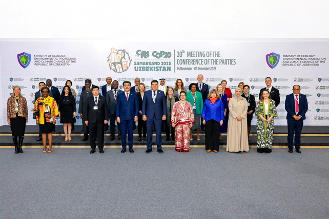 CITES CoP20: обсуждены инновационные решения по защите редких видов флоры и фауны