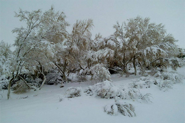 The Uzbek Kyzylkum desert covered with snow