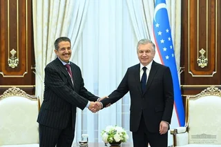 President of Uzbekistan meets with the ACWA Power Chairman of the Board of Directors