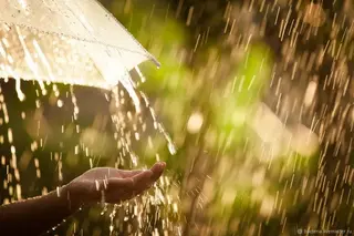 Uzhydromet: Heavy rains and thunderstorms expected on 24-25 April