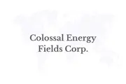 Colossal Energy Fields Corp. Announces Warren Irwin as Special Advisor and Significant Investor, Strengthening Financial Strategy, Capital Markets Insight and Energy Project Funding Capabilities