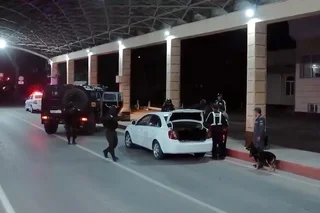 Задержаны шесть членов группы «Alfa», напавших на врача и пострадавшего после ДТП в Денау