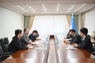 Uzbekistan, Japan Discuss Further Development of Bilateral Ties