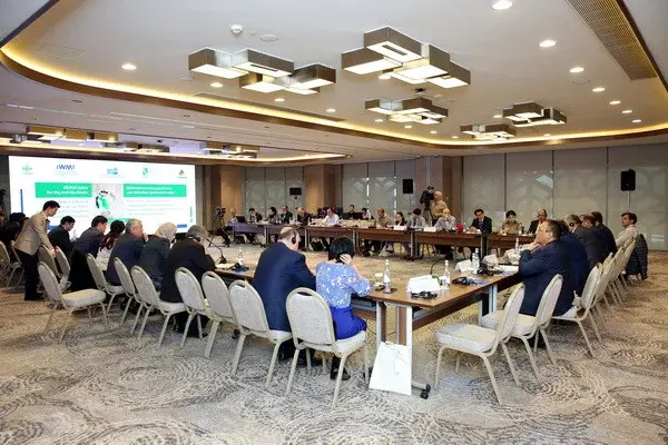 NEXUS Gains for the Aral Sea Basin: Realizing Multiple Benefits Across Water, Energy, Food and Ecosystems