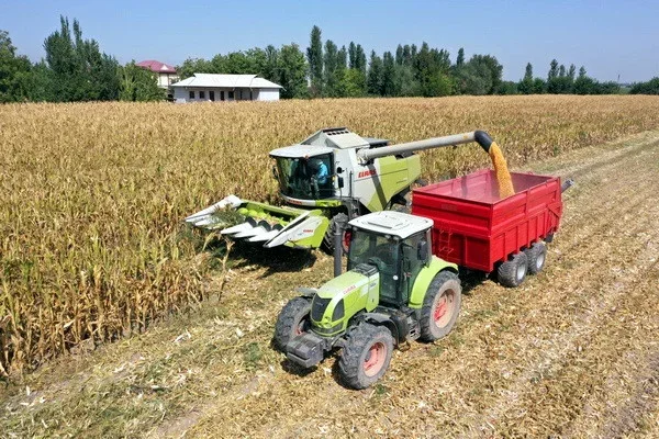 UzCLAAS Agro: День поля вместе с CLAAS состоялся под девизом «Комплексно, максимально и эффективно»