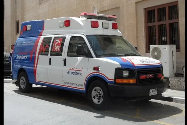 Two Uzbek Citizens Killed in Mass Brawl in Dubai — 11 People Detained