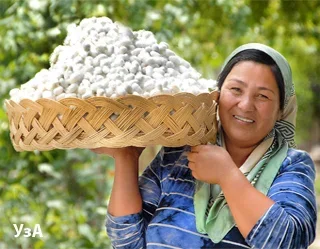 Uzbekistan joins International Sericultural Commission