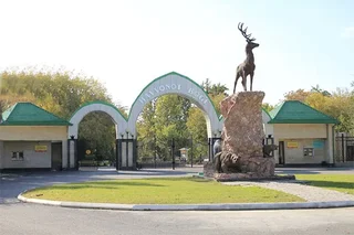 Тошкент ҳайвонот боғида жираф пайдо бўлди