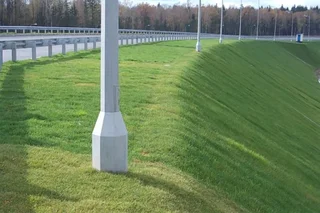Uzbekistan adopts programme on greening roadsides