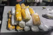 В Ташкентской области изъяли около 95 кг гашиша
