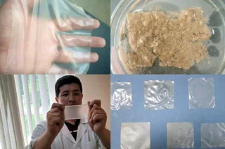 Uzbek Scientists Develop Fully Biodegradable Alternative to Plastic Film