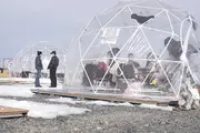 Когда в гостевом доме раздаётся музыка