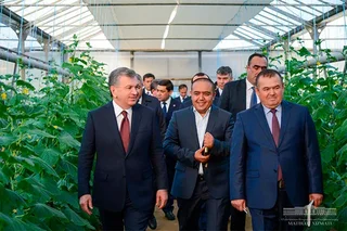 Президент поручил создать больше экономичных теплиц
