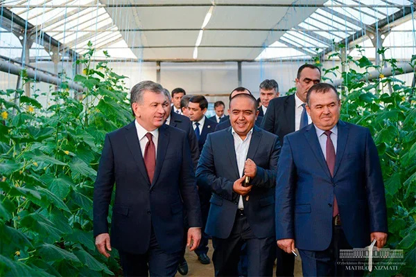 Президент поручил создать больше экономичных теплиц