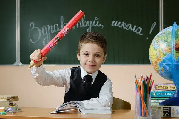 The procedure for the provision of public services for the admission of children to grade 1 has been determined