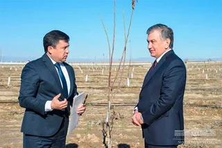 Президент посетил ореховые и миндальные плантации