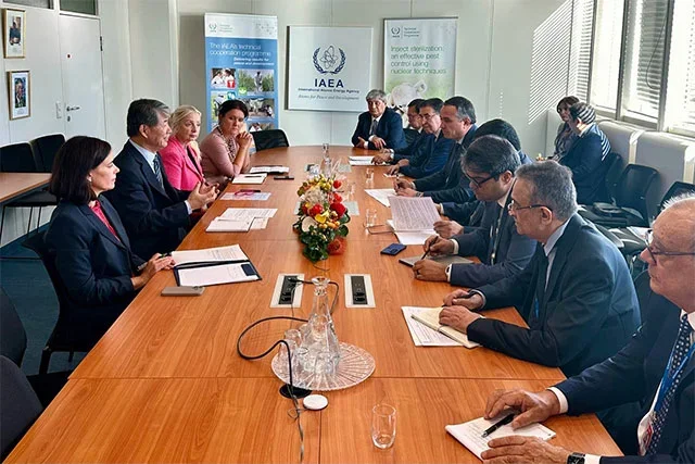 Uzbekistan Discusses Nuclear Technology Development and First NPP Construction with IAEA