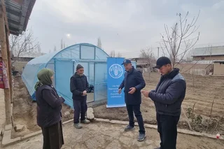 ФАО Фарғона водийси аҳолисини иссиқхона хўжалигини ривожлантириш борасидаги саъй-ҳаракатларини қўллаб-қувватлайди