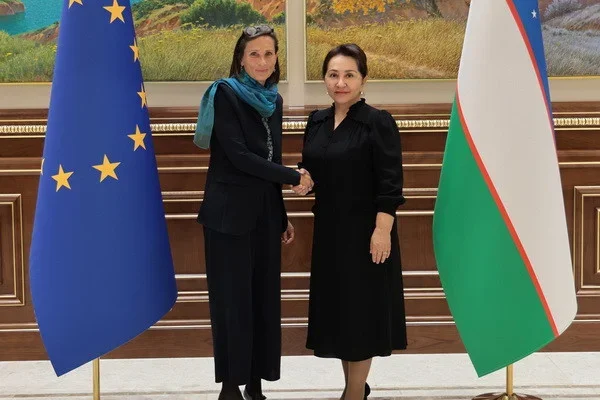 Обсуждены практические аспекты сотрудничества парламентов Узбекистана и государств-членов Европейского Союза