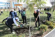 В Ташкенте высадили 16,6 млн. черенков кустарников в рамках проекта «Яшил макон»