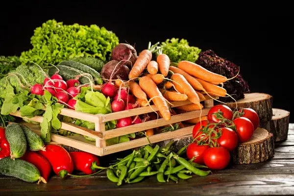 Which region of Uzbekistan produces the most vegetables?
