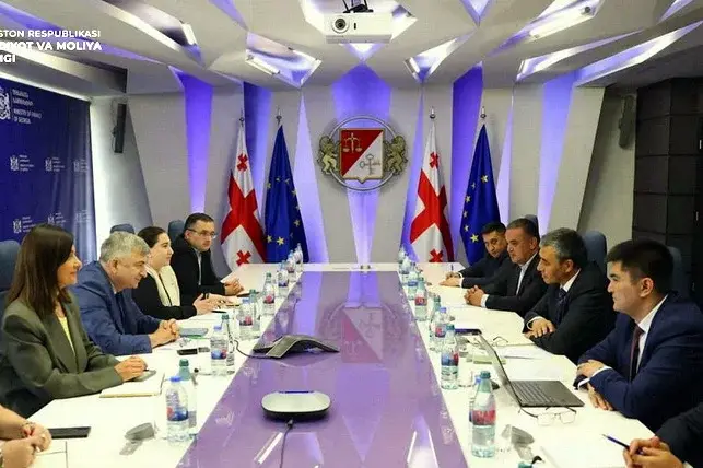 Uzbekistan and Georgia Strengthen Cooperation in Tax and Customs Policy