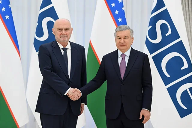 Uzbekistan President meets OSCE Secretary General in Tashkent