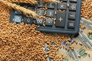 The volume of grain purchases for state resources from the harvest of 2021 has been determined