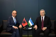 Лидеры Узбекистана и Албании обсудили вопросы расширения двустороннего сотрудничества