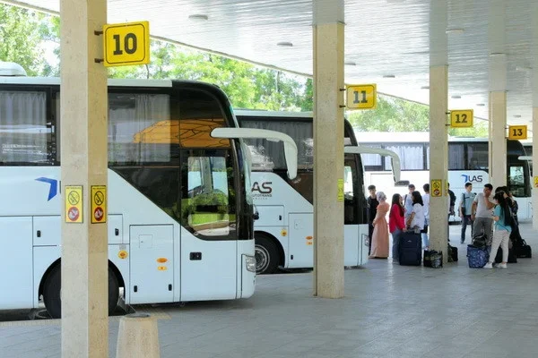 Bus routes to Russian cities are launched from Tashkent