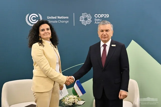 Uzbek leader calls for strengthening cooperation with Green Climate Fund