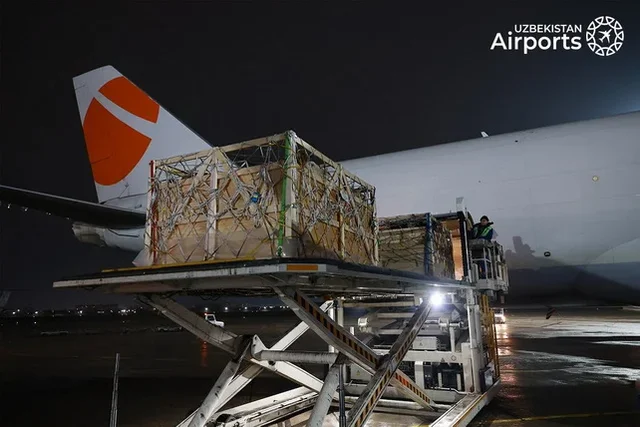 Boeing 747 Arrives in Tashkent with 93 Tons of Live Cattle from Europe