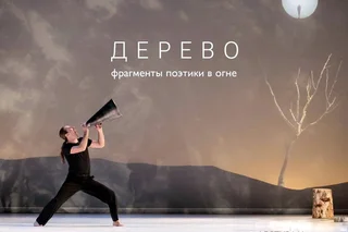 ​​​​​​​Международный фестиваль оперы и балета в Ташкенте: постановка Каролин Карлсон «Дерево»