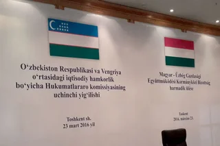 Uzbekistan and Hungary discuss development of trade-economic ties