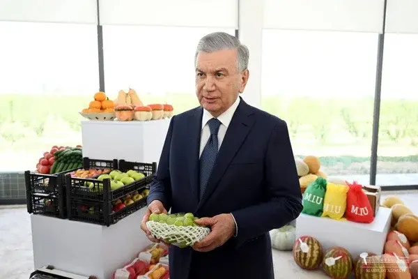 Some 450 hectares of intensive orchards created in Quvasoy