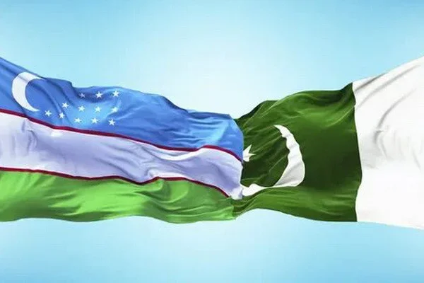 Experts from Uzbekistan and Pakistan discuss issues of restoring interregional interconnectedness between the states of Central and South Asia