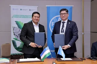 FAO and Uzbekistan Strengthen Cooperation to Prevent Forest and Land Degradation
