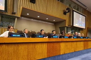 ФАО поднимает вопросы Приаралья на Форуме ООН по лесам