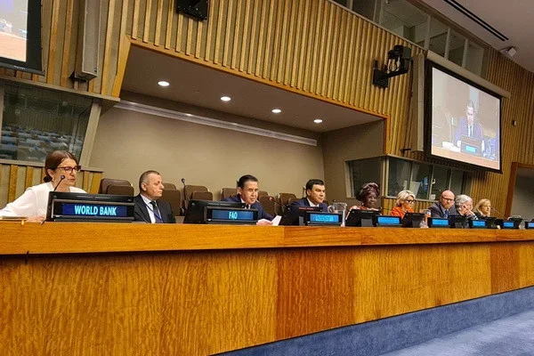 UN Forum on Forests 18 addresses Aral Sea region issues