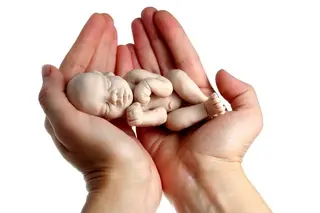 In which region of Uzbekistan is the largest number of abortions (abortions) observed?