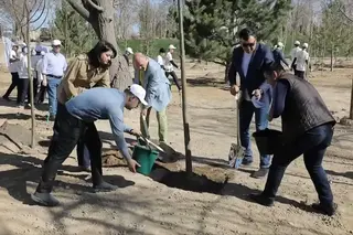 "My Garden" Initiative Drives Creation of New Green Public Spaces in Uzbekistan