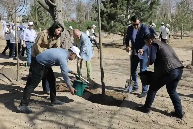 "My Garden" Initiative Drives Creation of New Green Public Spaces in Uzbekistan