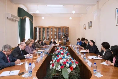 Elmira Basithanova holds talks with Russian top legislator
