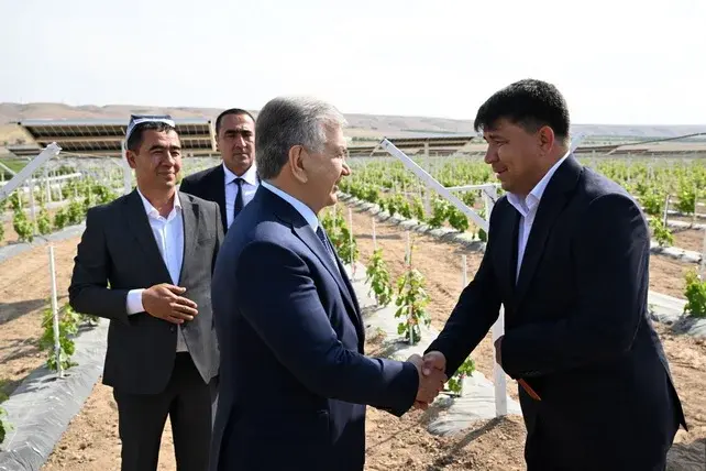 Mirziyoyev Reviews Agrivoltaic Farming Project in Ferghana Region