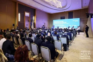 IFAD to open its office in Uzbekistan