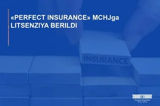 PERFECT INSURANCE LLC has been issued a license