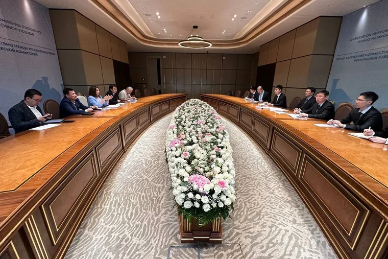The scientific and innovation infrastructure of Uzbekistan to be modernized in cooperation with the CIDCA