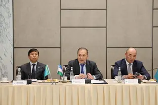 Казахстанские переработчики просят Узбекистан сократить сроки согласования транзита шрота и жмыха